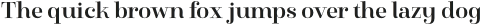 Winslow Title Mod Medium otf (500)