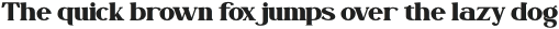 Fogie-Bold otf (700)