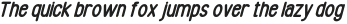 RUTHERFORD ITALIC 1 otf (400)