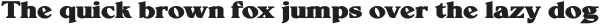 Voska Expanded Bold Regular otf (700)