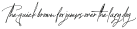 Kastel Ink Script Standart-Italic otf (400)