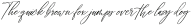 Signature Archive Script otf (400)