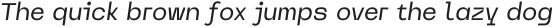 WMSncrypt-Italic otf (400)