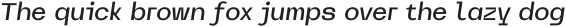 WM Sncrypt Medium Italic otf (500)