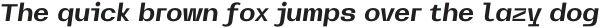 WMSncrypt-BoldItalic otf (700)