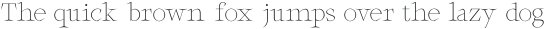 Failynn Thin otf (100)