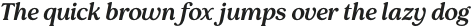 Pockota Medium Italic otf (500)