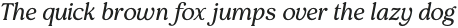 Pockota Light Italic otf (300)