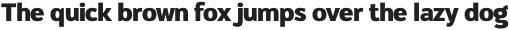 Oliviar Sans Bold otf (700)