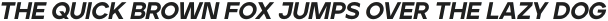 Ardela Edge X02 Black Italic otf (900)