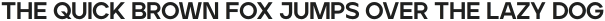 Ardela Edge X02 ExtraBold otf (700)