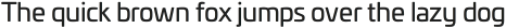 Univia Pro otf (400)
