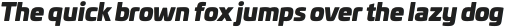 Univia Pro Ultra Italic otf (900)