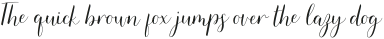 Jamie Script Regular otf (400)