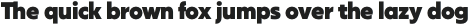 Salin Heavy otf (800)