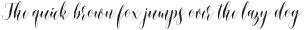 Shinthia Script Regular ttf (400)
