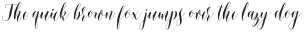 Shinthia Script Regular otf (400)