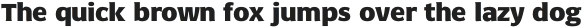 Negara Serif Hairline Italic otf (100)