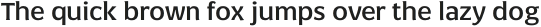 Negara Serif Extra Bold otf (700)