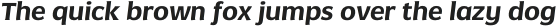 Negara Serif Light Italic otf (300)