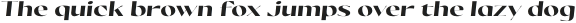 Olivette CF Bold Italic otf (700)