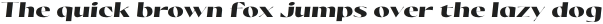 Olivette CF Heavy Italic otf (800)
