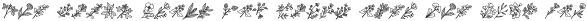 Floravian Extra otf (400)