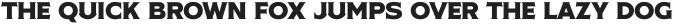 NS Bullsmith Serif Capital otf (400)