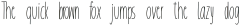 pinelight ttf (300)