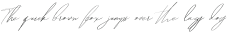 HegomoniSignature otf (400)