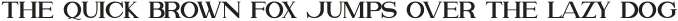 Attention Serif otf (400)