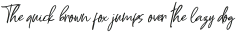 Ferments Slant Italic otf (400)