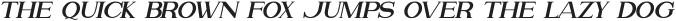 Attention Serif Slant Italic otf (400)