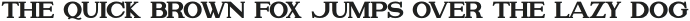 Attention Serif Extra Bold Bold otf (700) Sample