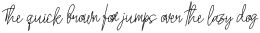 Stylistic Sign Italic Italic otf (400)