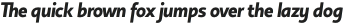 Copihue Bold-Italic otf (700)