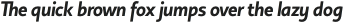 Copihue SemiBold-Italic otf (600)