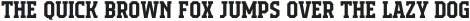 Campione Neue Serif SemiBold otf (600)