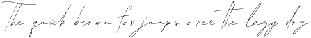 Modena Signature | Messy Script preview
