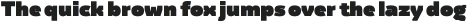 Regave Italic otf (400)