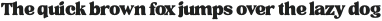 TANTangkiwood-Display otf (400)