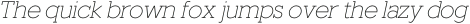Fried Chicken Thin Italic otf (100)