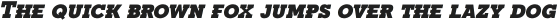 Fried Chicken SC Black Italic otf (900)