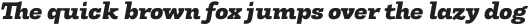 Tonus Slab Heavy Italic otf (800)