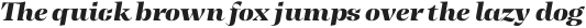 Tonus Display Heavy Italic otf (800)