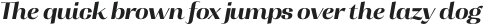 TonusContrast-BoldItalic otf (700)