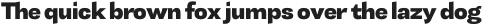 Tonus Sans Heavy otf (800)