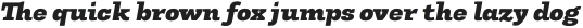 Tonus Slab Black Italic otf (900)