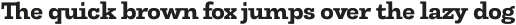 TonusSlab-Bold otf (700)
