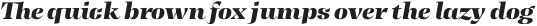 Tonus Display Black Italic otf (900)